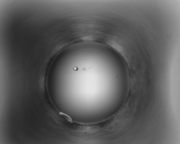X0000088910297200706151911
