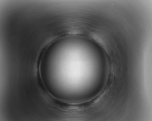 X0000088910298200706151911