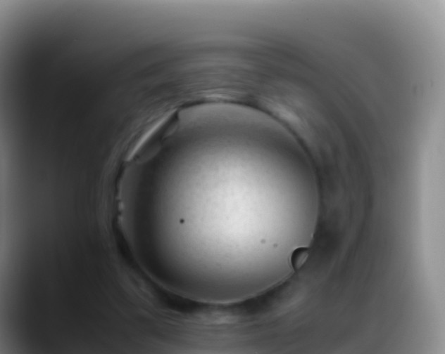 X0000088910299200706151911