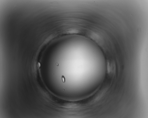 X0000088910300200706151911