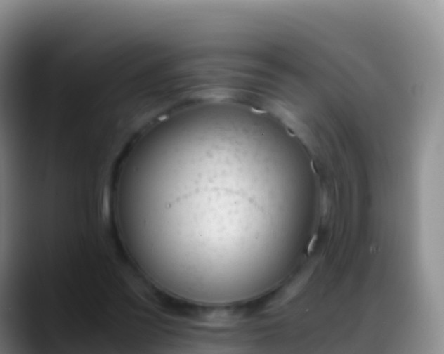 X0000088910301200706151911