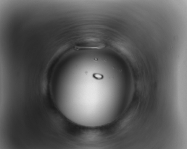 X0000088910304200706151911