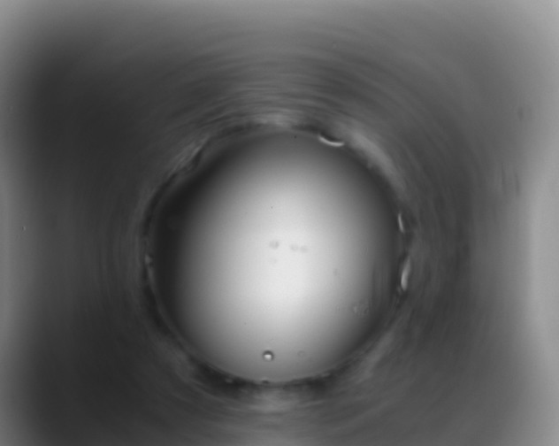 X0000088910305200706151911