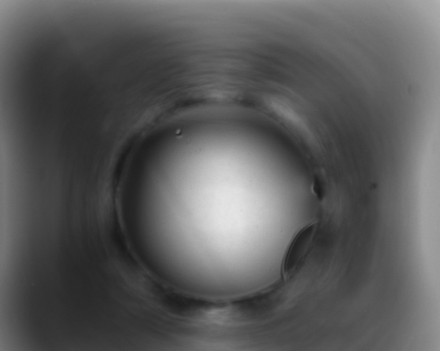 X0000088910306200706151911
