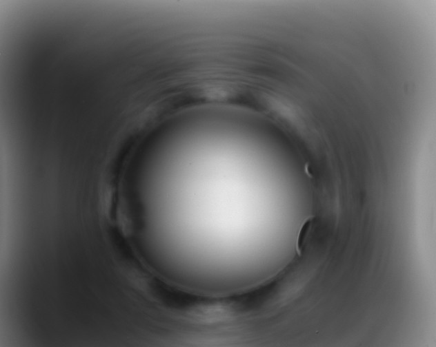 X0000088910307200706151911