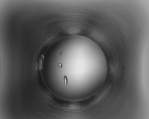 X0000088910308200706151911