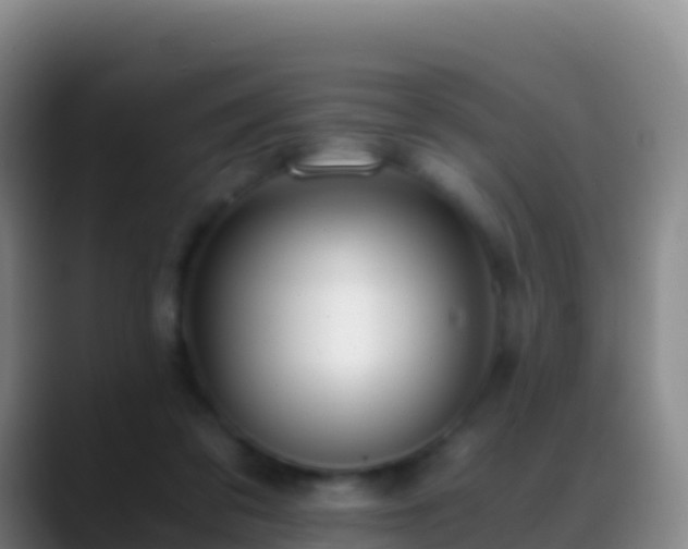 X0000088910309200706151911