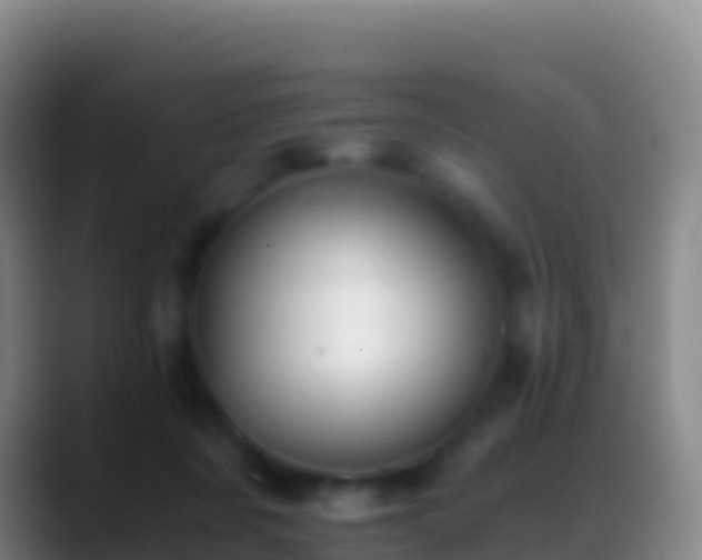 X0000088910311200706151911