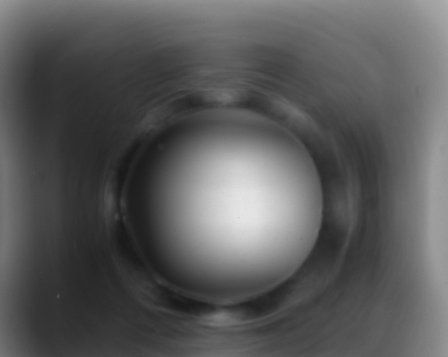 X0000088910312200706151911