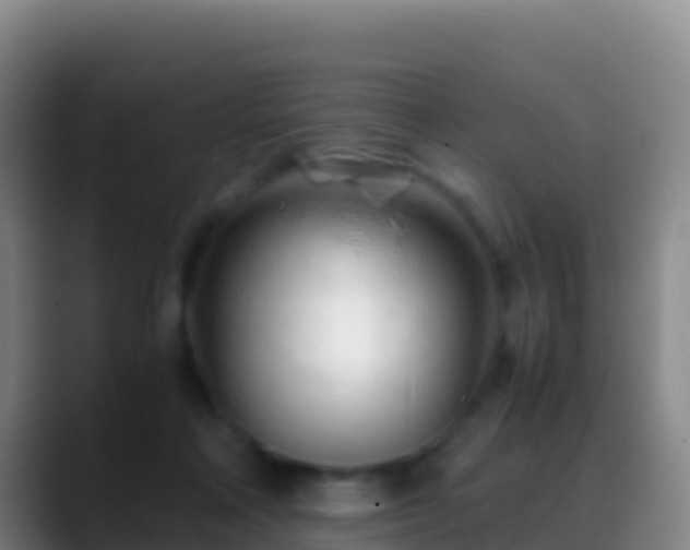X0000088910314200706151911