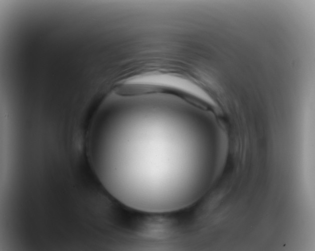 X0000088910315200706151911