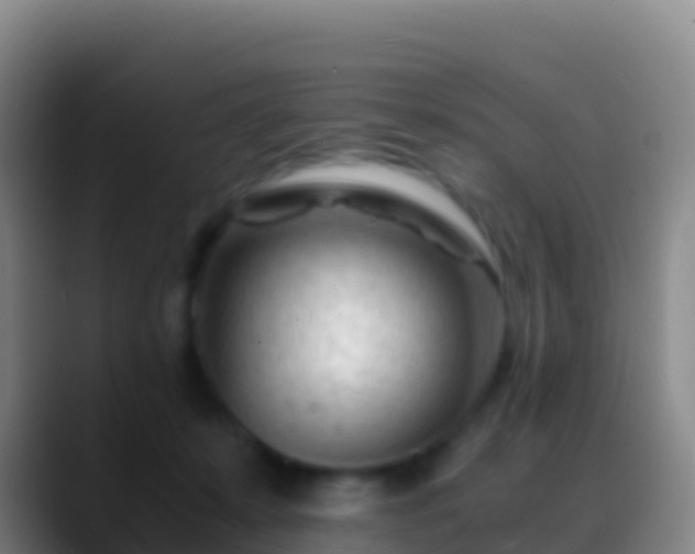 X0000088910319200706151911