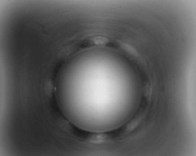 X0000088910321200706151911