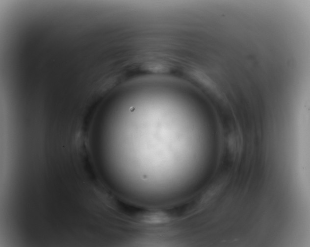 X0000088910322200706151911