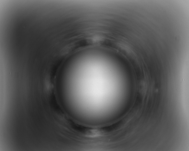 X0000088910324200706151911