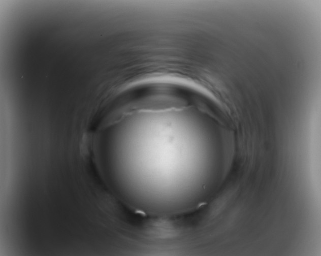 X0000088910325200706151911