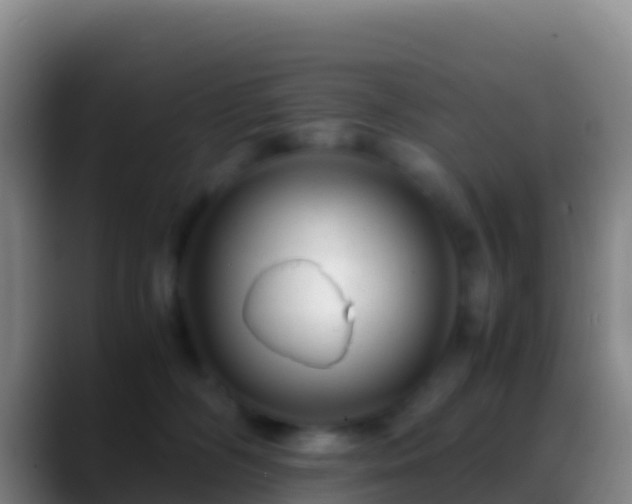 X0000088910326200706151911