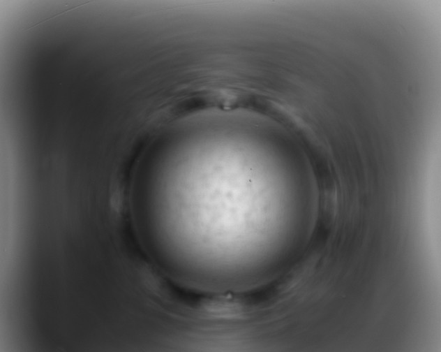 X0000088910331200706151910