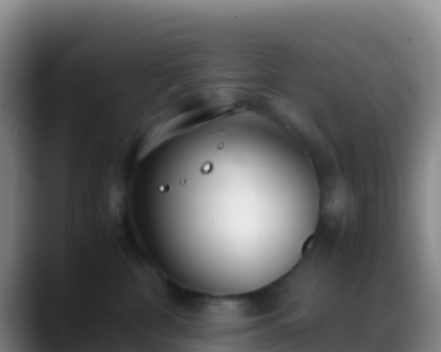 X0000088910332200706151910