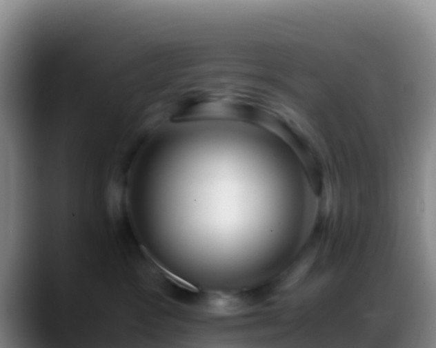 X0000088910333200706151910