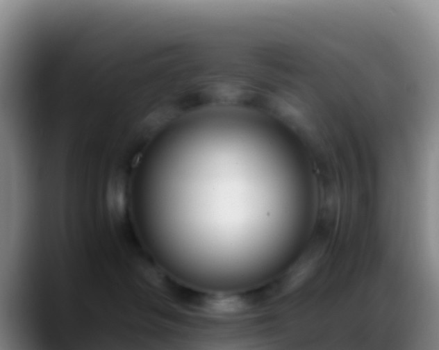X0000088910334200706151910