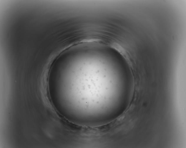 X0000088910337200706151910