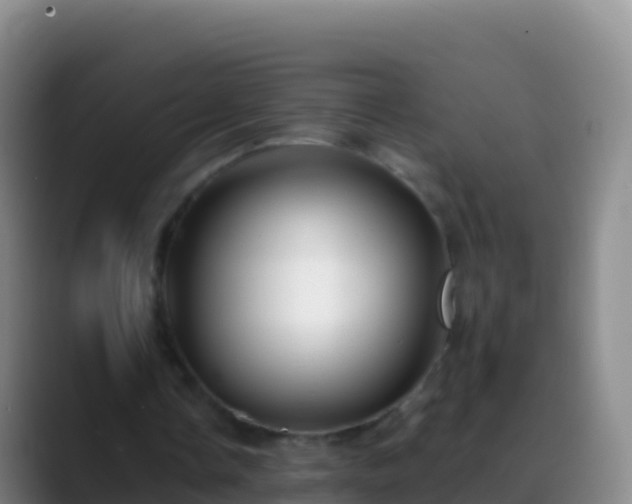 X0000088910338200706151910
