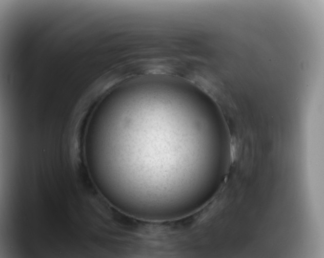 X0000088910339200706151910