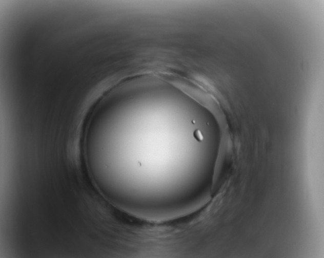 X0000088910340200706151910