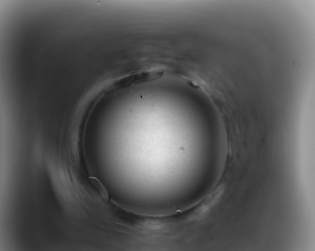 X0000088910341200706151910