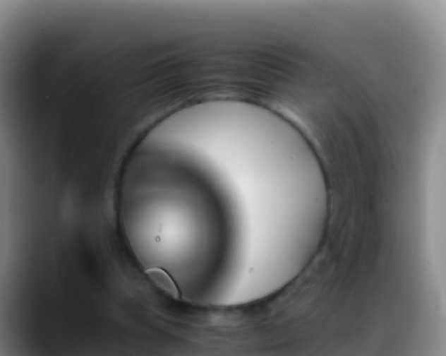 X0000088910345200706151910