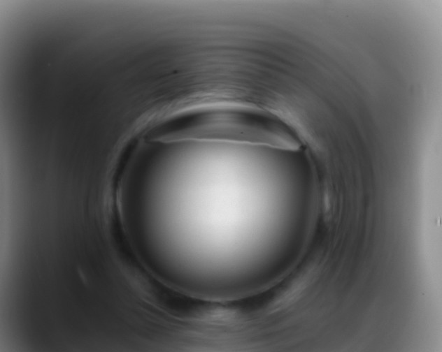 X0000088910348200706151910