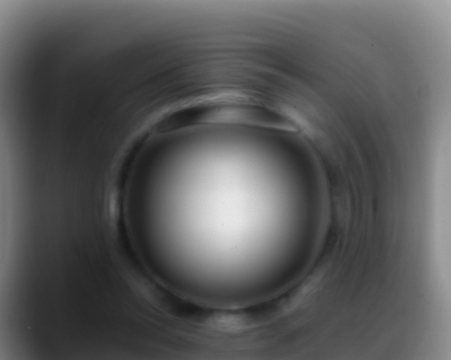 X0000088910350200706151910