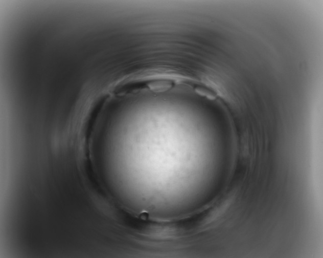 X0000088910351200706151910