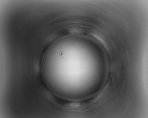 X0000088910353200706151910