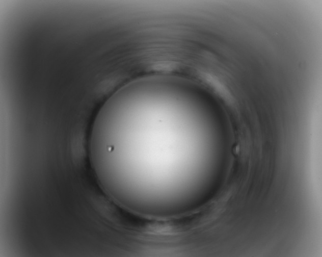 X0000088910354200706151910
