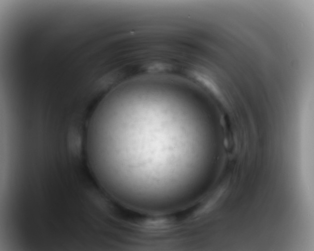 X0000088910357200706151910