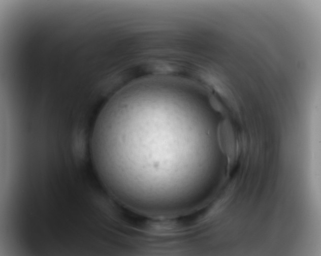 X0000088910359200706151910