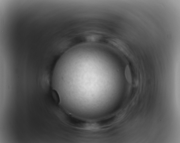 X0000088910363200706151910