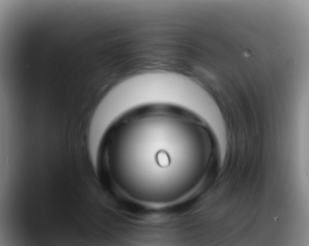 X0000088910364200706151910
