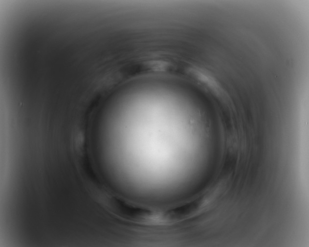 X0000088910365200706151910