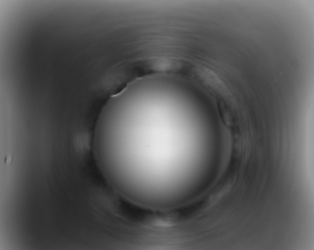 X0000088910368200706151910