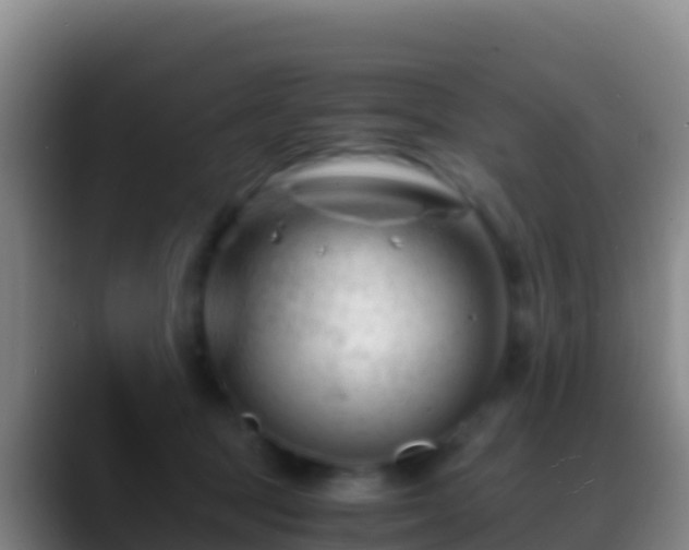 X0000088910369200706151910