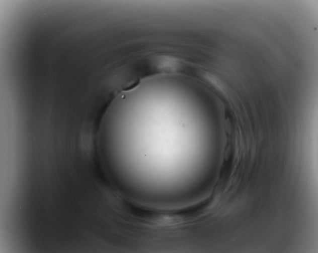 X0000088910379200706151910