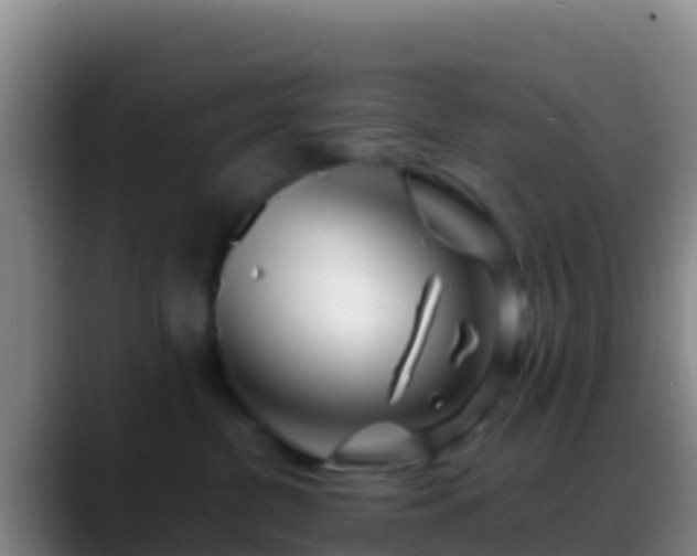 X0000088910380200706151910