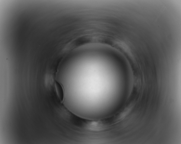 X0000088910382200706151910