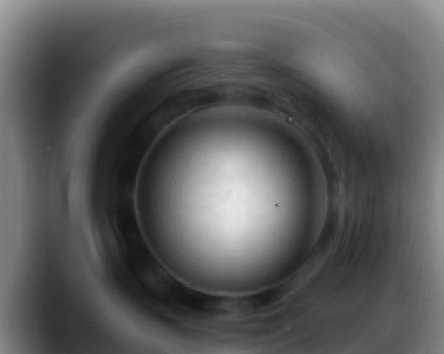X0000088910383200706151910