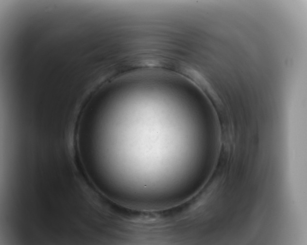 X0000088910386200706151910