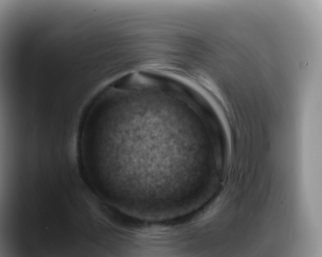 X0000088910387200706151910