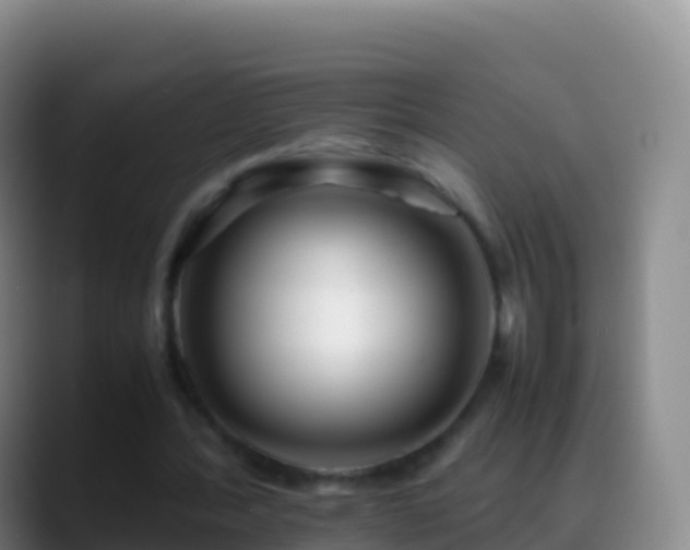 X0000088910388200706151910
